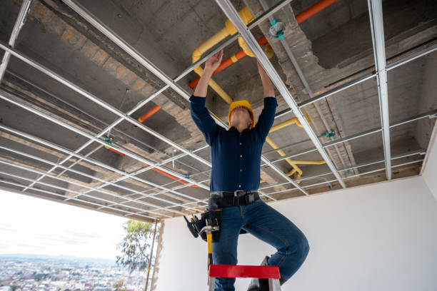 Best Commercial Plumbing Services  in Greer, SC
